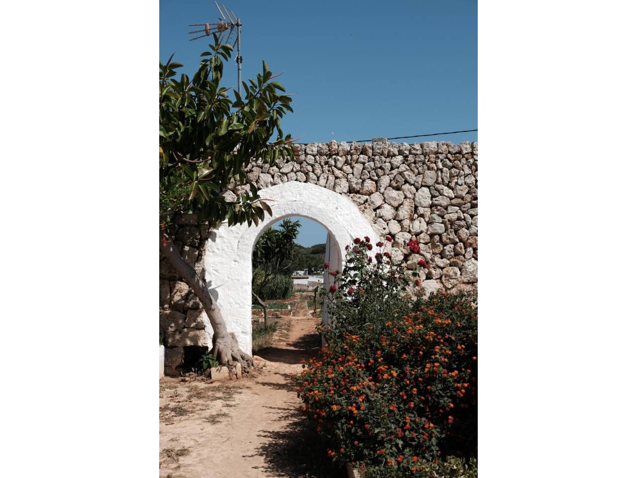 Finca rústica en venta en Cala Blanca