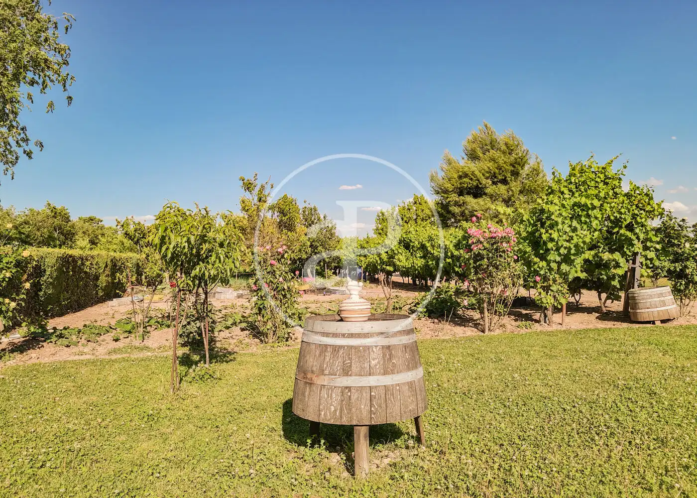 Jardí de Casa o xalet en venda en Fuente El Saz de Jarama amb Calefacció, Jardí privat i Terrassa
