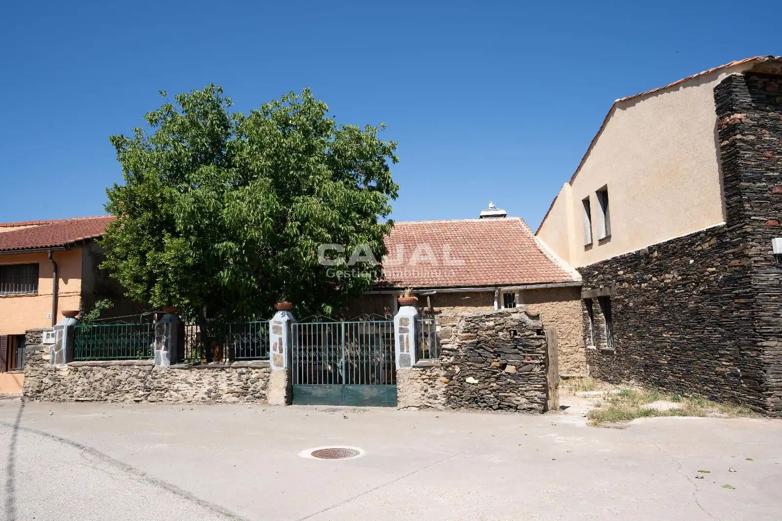 Vista exterior de Casa o chalet en venta en Riaza con Jardín privado
