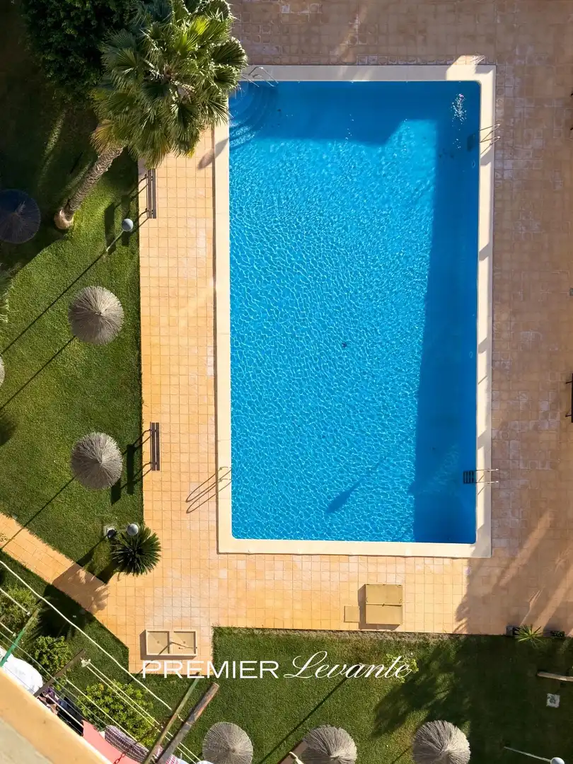 Studio with pool to rent in Calle Musico Vicente Spiteri 19, imagen 13