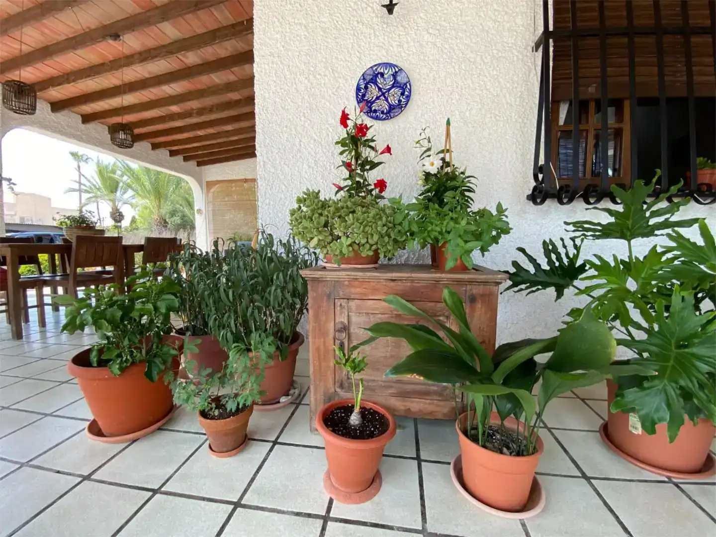 Terrassa de Casa o xalet en venda en Santa Pola amb Aire condicionat i Piscina