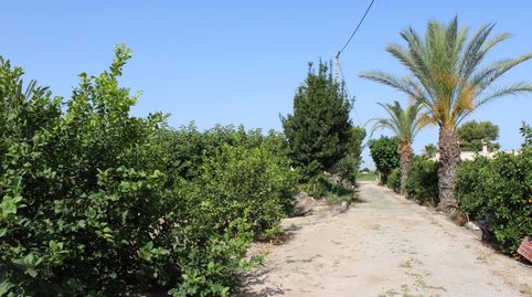 Foto 5 de Casa o xalet en venda a Molins - Campaneta - San Bartolomé, Orihuela