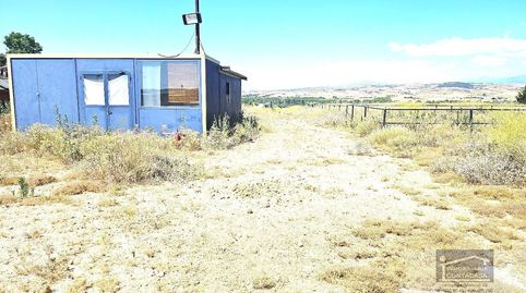 Talamanca de JaramaTerreno, immagine 5