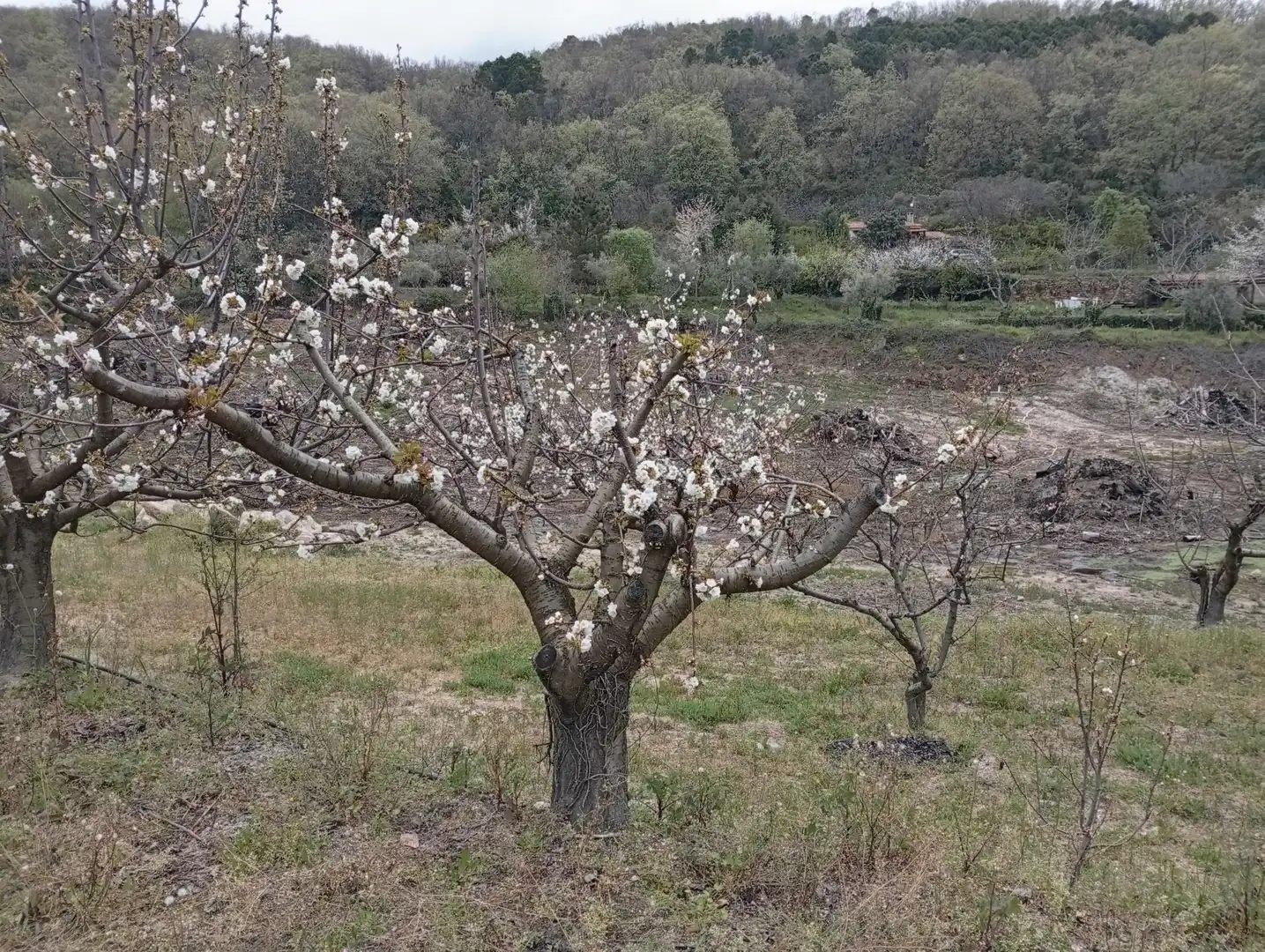 Terreni e lotti in vendita a Villanueva de la Vera, imagen 51