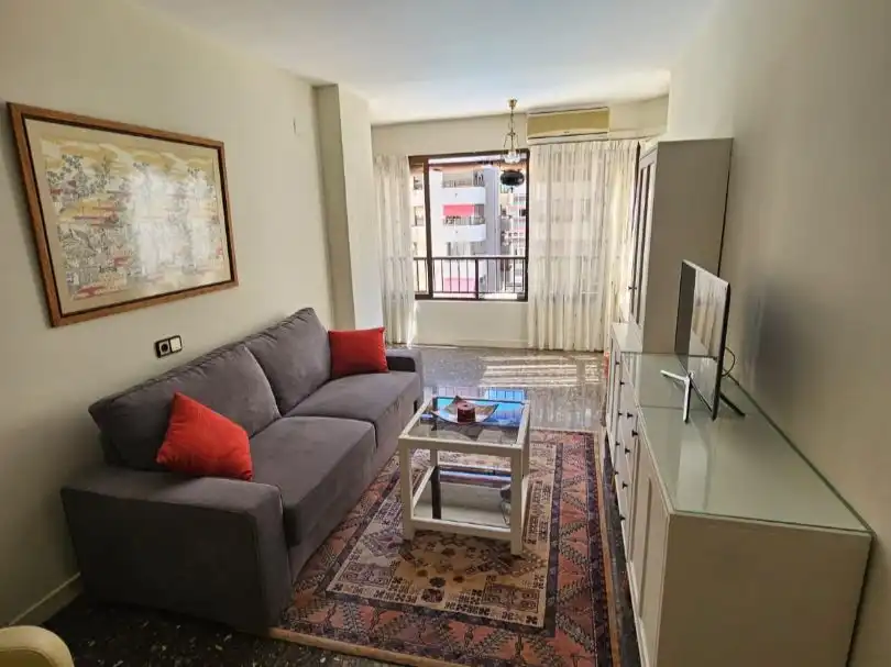 Living room of Flat for rent in Centro