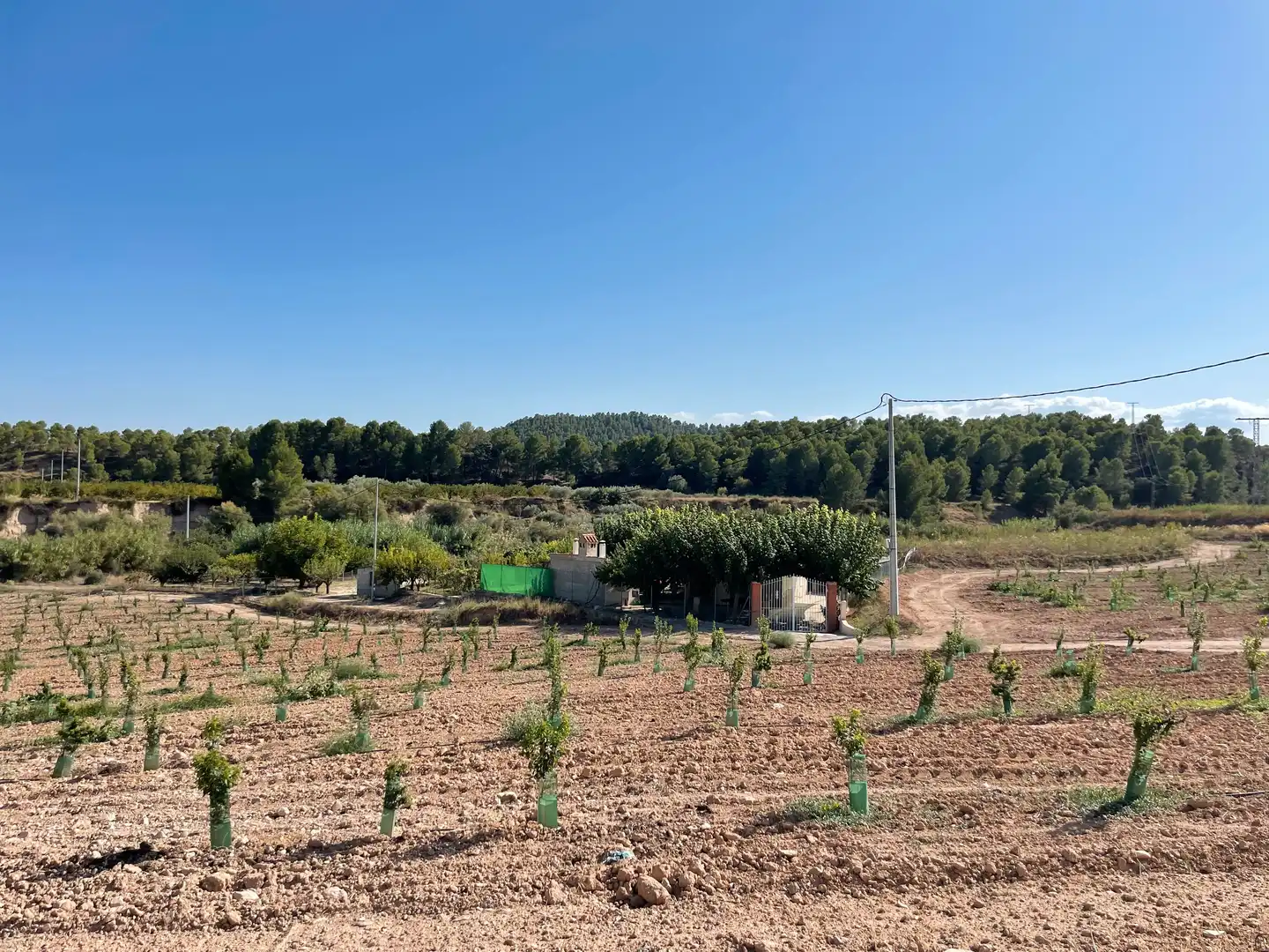 Terreno rustico in vendita a Cehegín, imagen 18