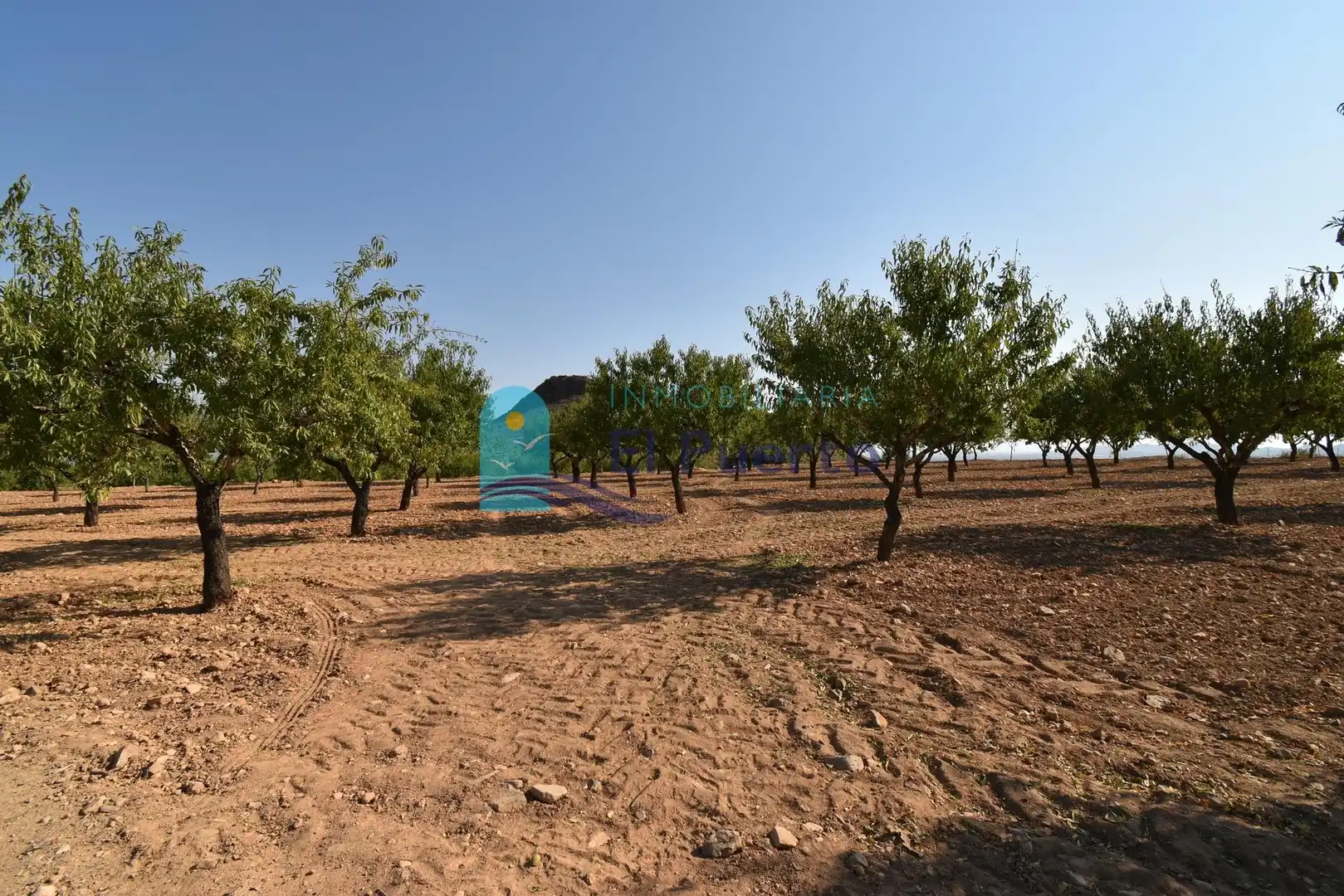 Terrenys i solars en venda a Mazarrón Casco Urbano, imagen 14