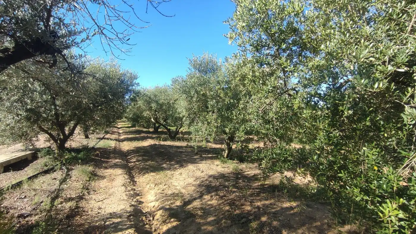 Finca rústica en venda en Constantí amb Jardí privat, Terrassa i Moblat