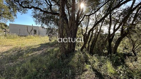 TERRENO EN CALONGE, imagen 3