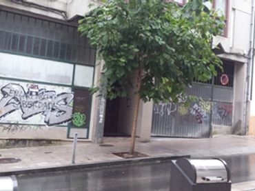 Local comercial en venda a Rúa de Pérez Costanti