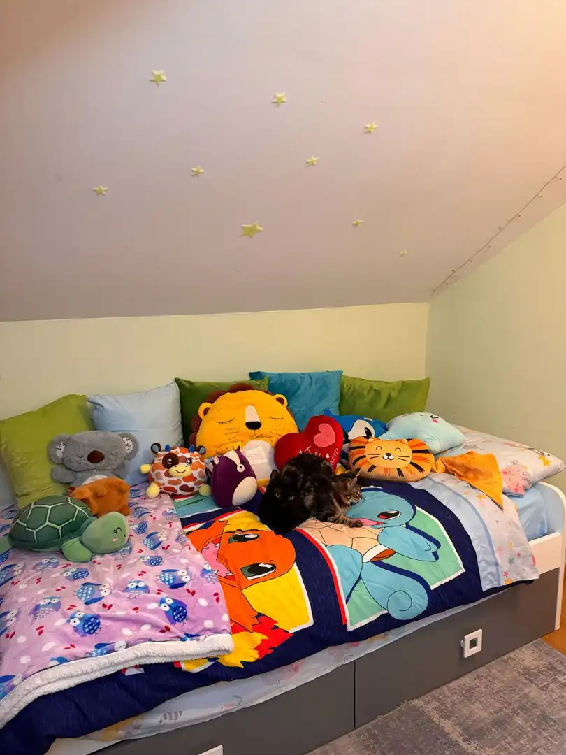 Ático en venta en San Isidro, 1, El Álamo