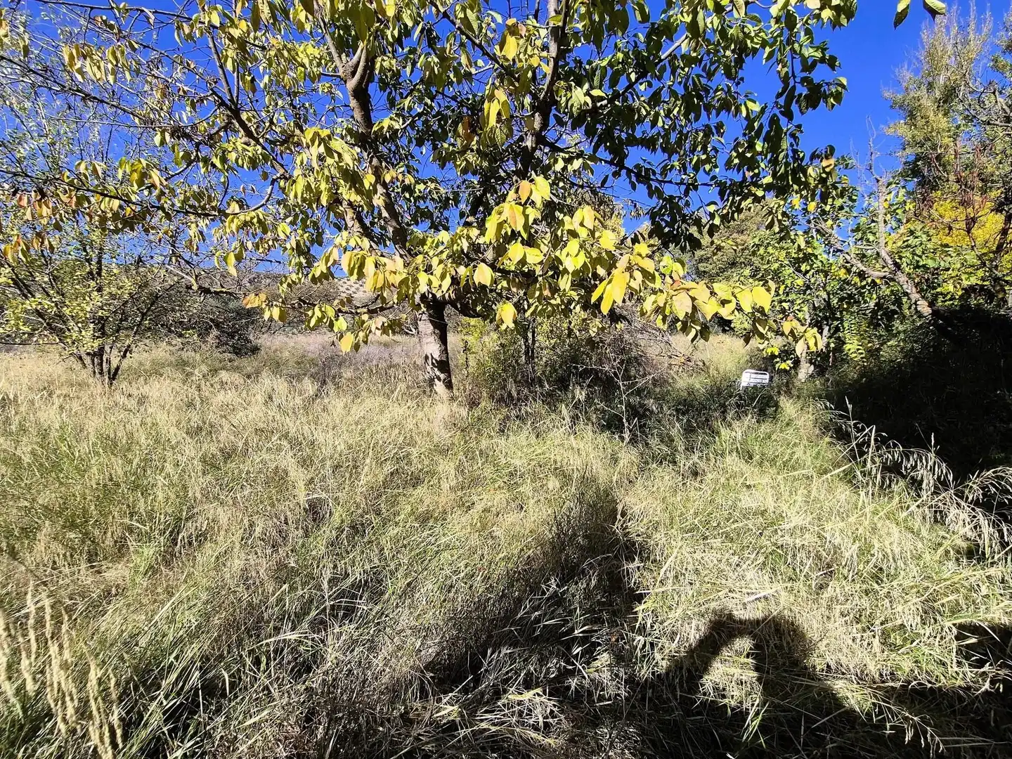 Terreny rústic en venda a Loja, imagen 18