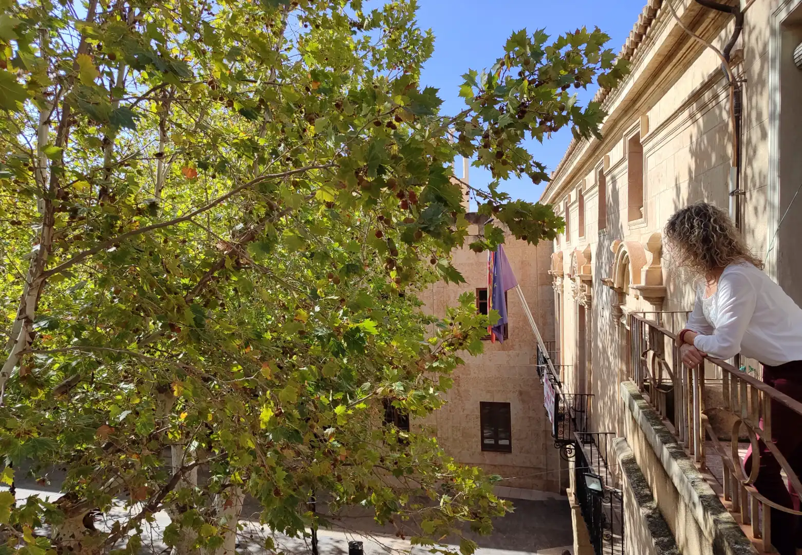 Buildings for sale in Plaza Mayor, Centro