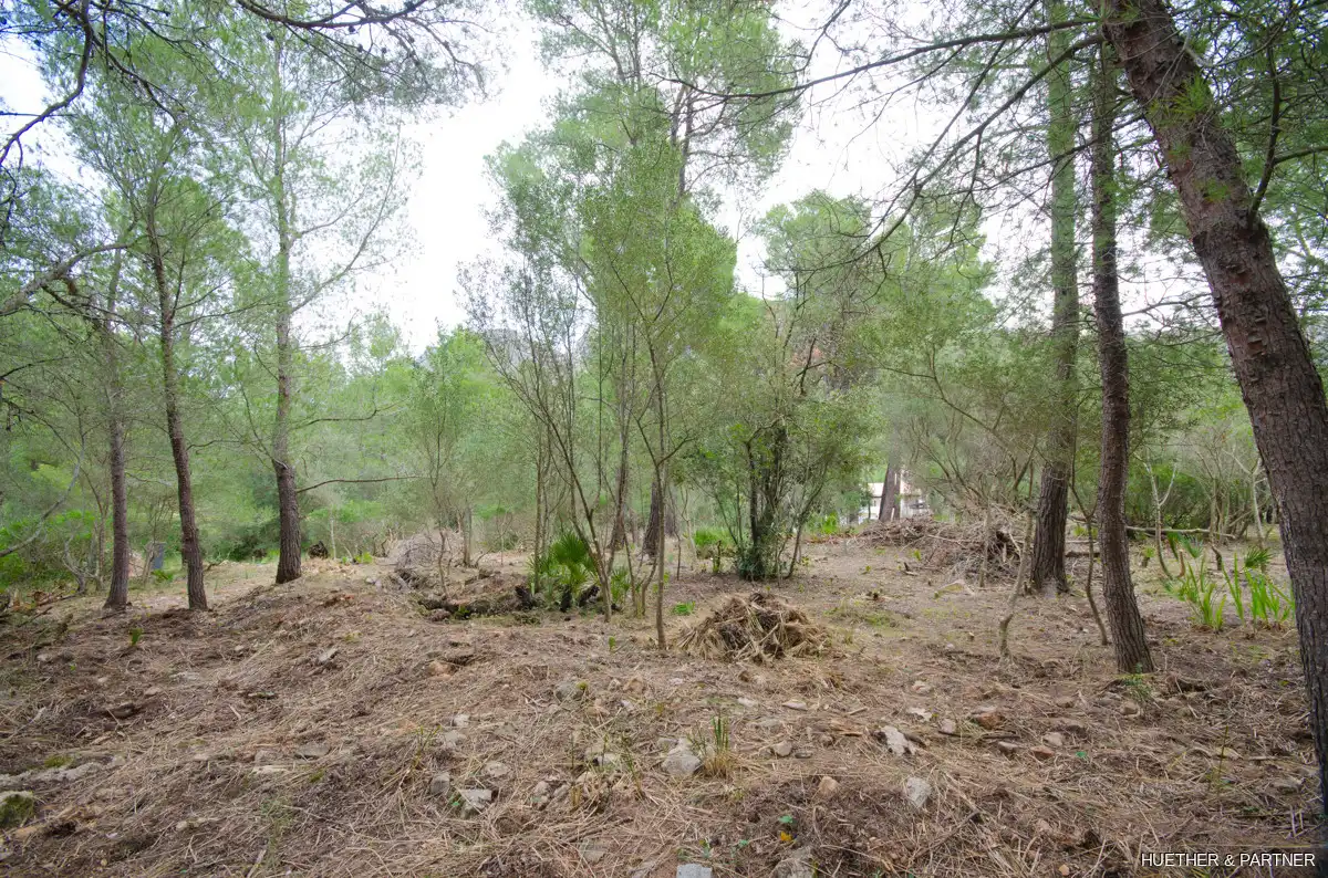 Terreny residencial en venda a Betlem, imagen 6