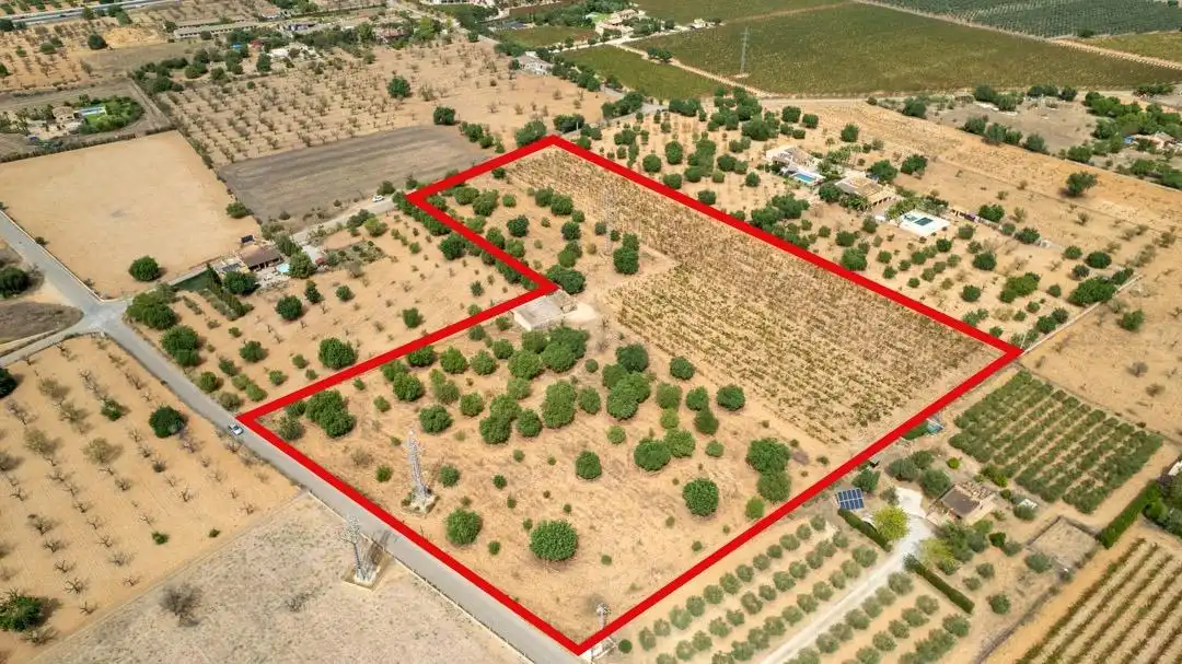 Land for sale in Consell