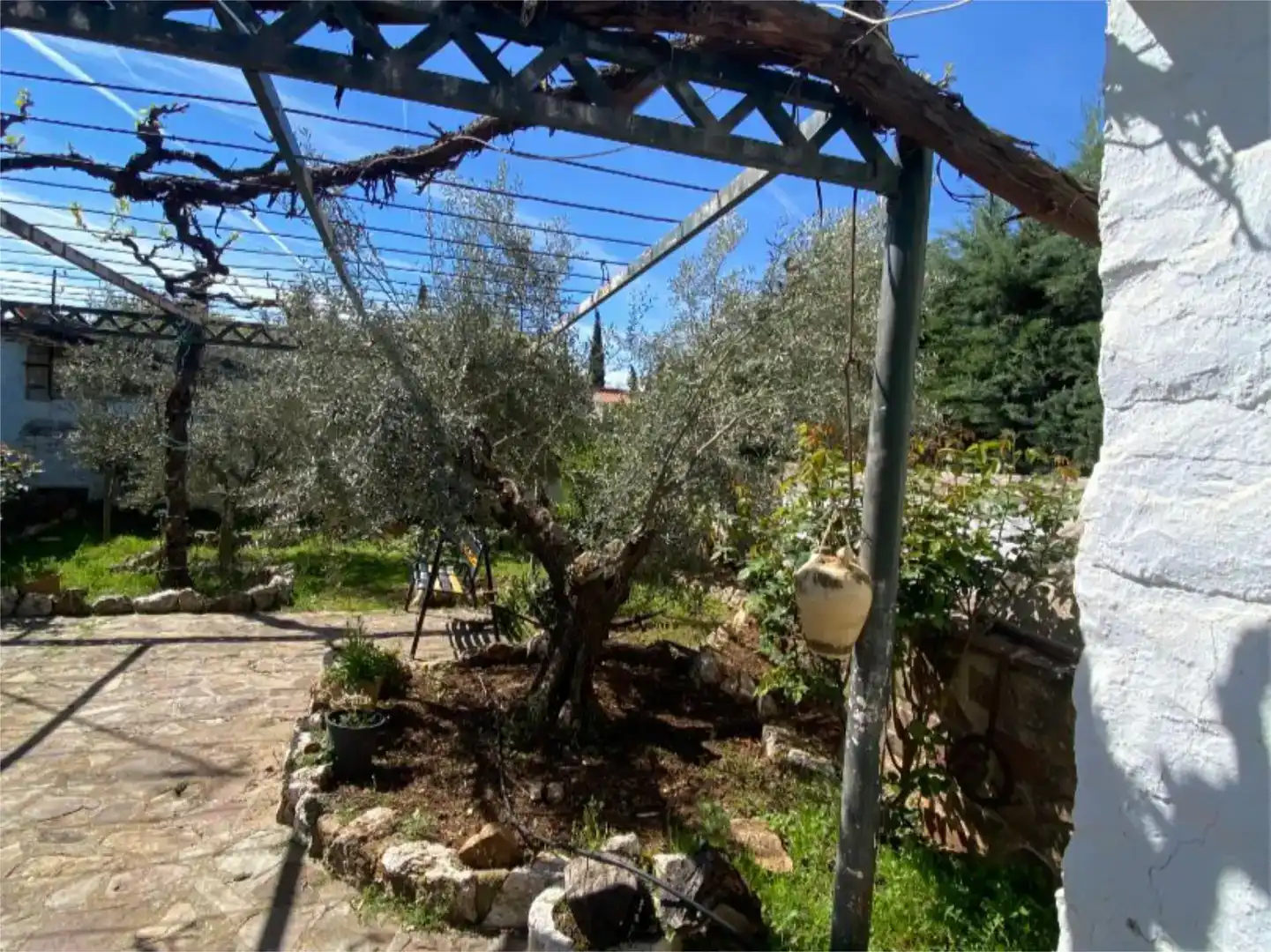 Jardín de Casa o chalet en venta en Viso del Marqués