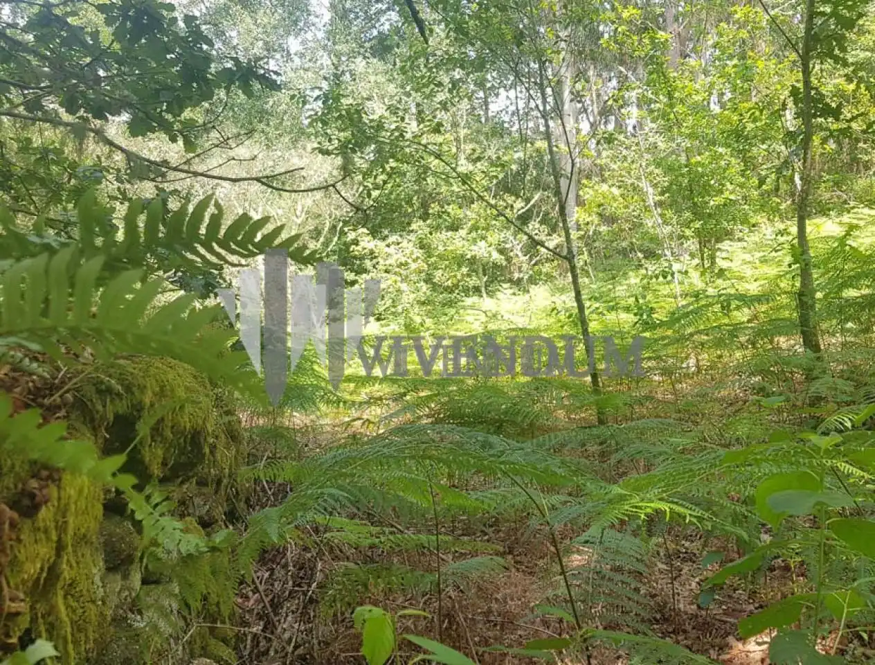 Residential for sale in A Lama  