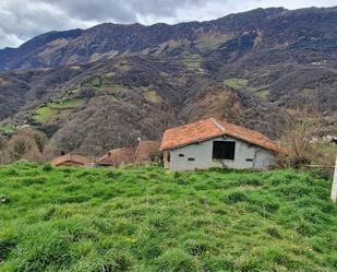 Country house for sale in Polígono Teleno, Porcio, -1, Riosa