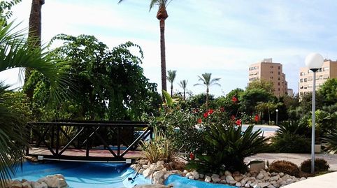Photo 5 of Apartments for sale in Playa Poniente, Benidorm