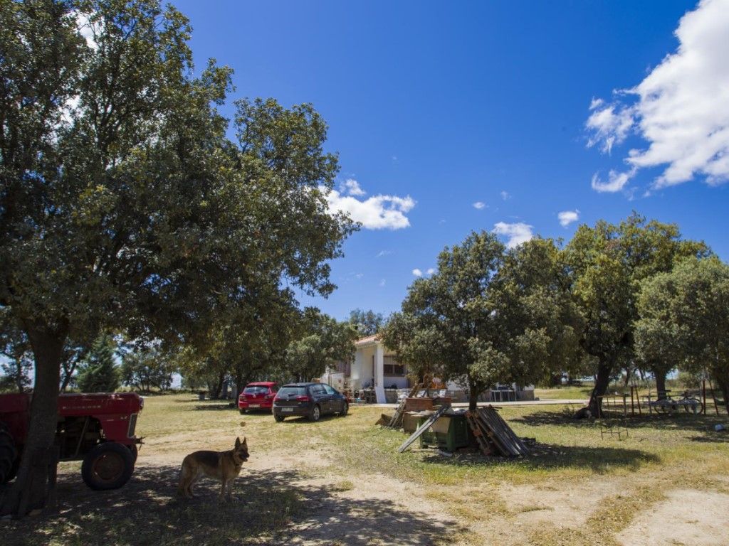 Casa o chalet en venta en La Dehesa - El Pinar