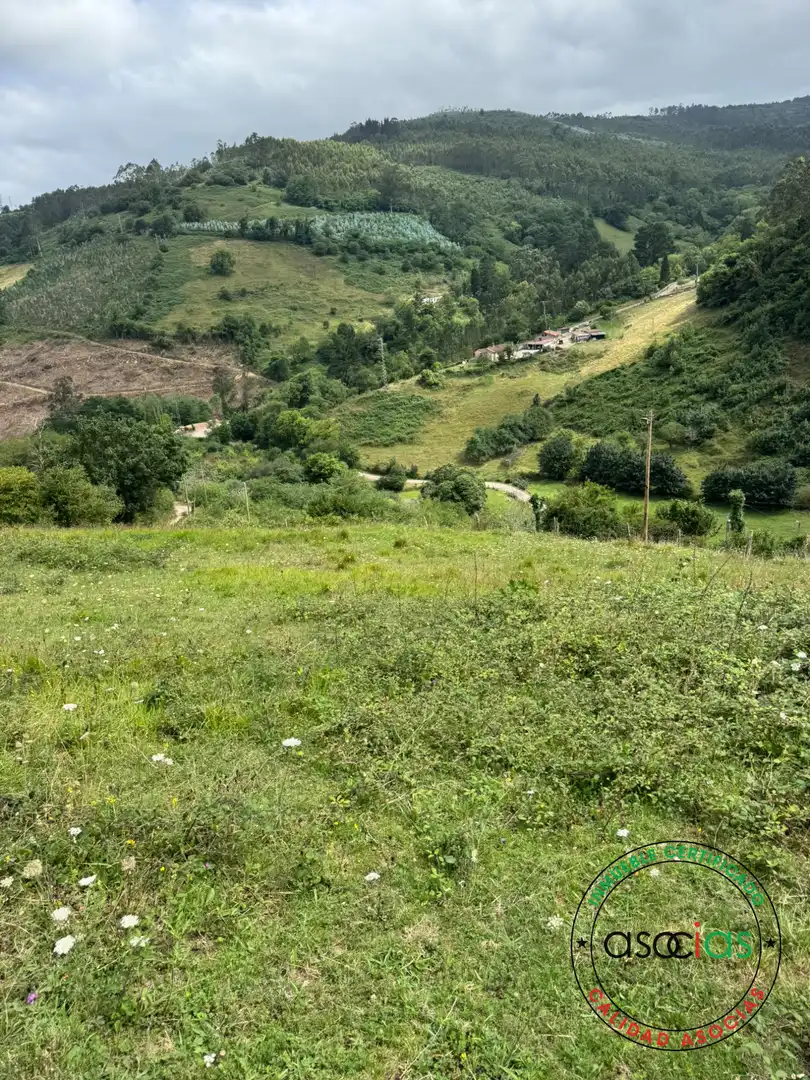 Terreny en venda en Villaviciosa
