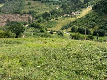 Rural land for sale in Peón - Brañaverniz  La Forne