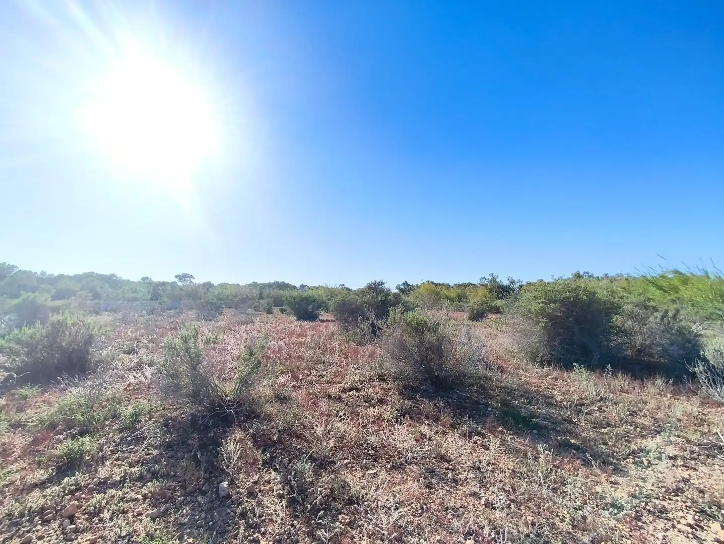 Terreno residencial en venta en Polígono POLIGONO 126 BALSARES 126, imagen 12