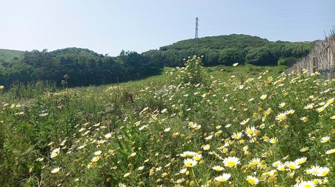 Foto 4 de Residencial en venda a  Camino Cañada de Matatoros 0, Tarifa ciudad, Tarifa