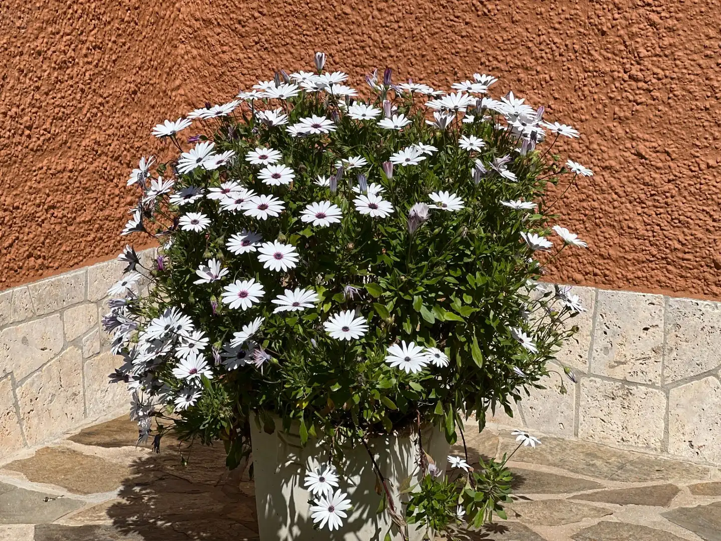 Jardí de Casa o xalet en venda en Alhaurín de la Torre amb Aire condicionat, Jardí privat i Terrassa