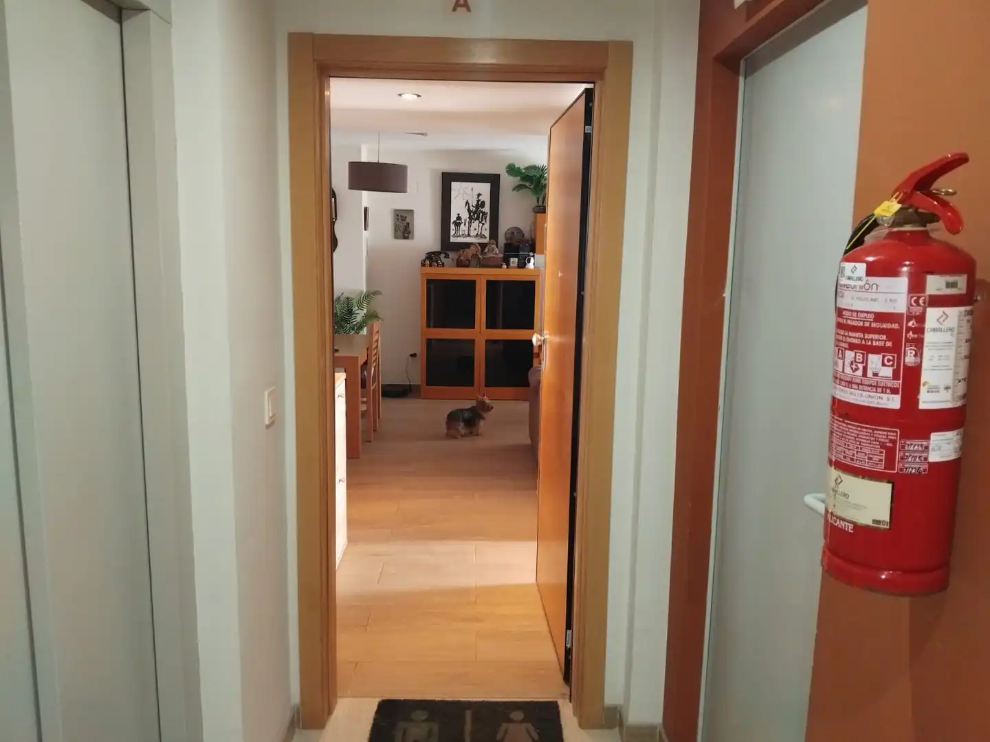 Wohnung mit Pool zum Verkauf in Avenida Vicente Blasco Ibañez 1, imagen 33