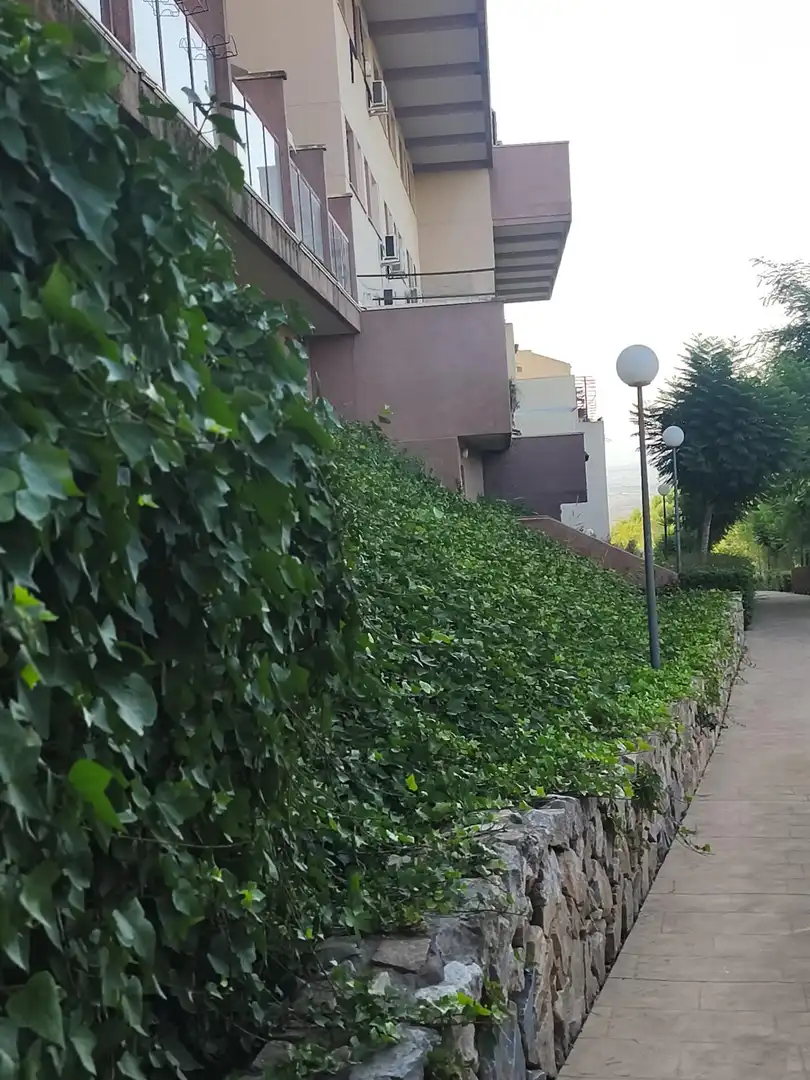 Vista exterior de Dúplex en venda en Altorreal - El Chorrico