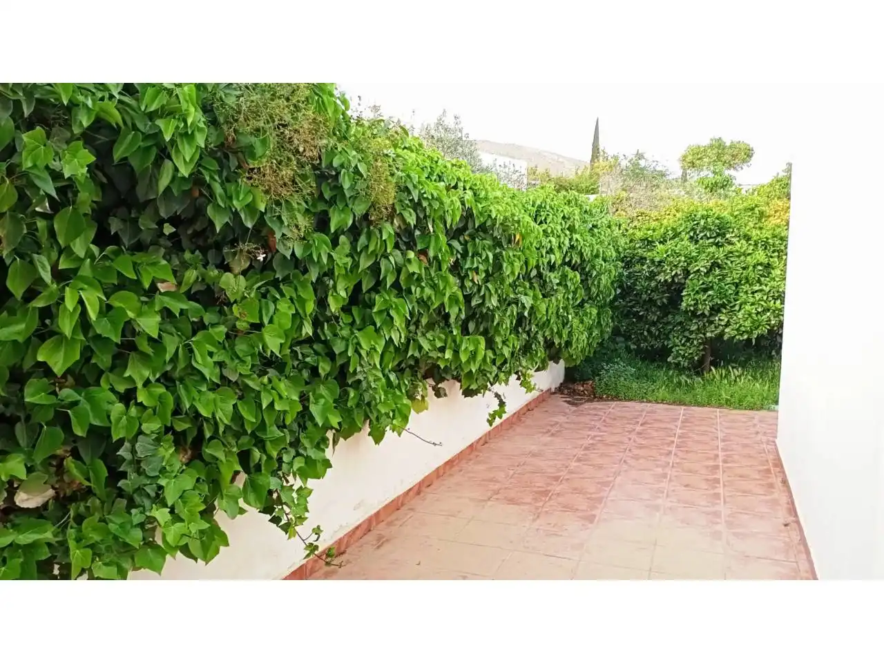 Xalet amb jardí en venda a Níjar pueblo, imagen 35
