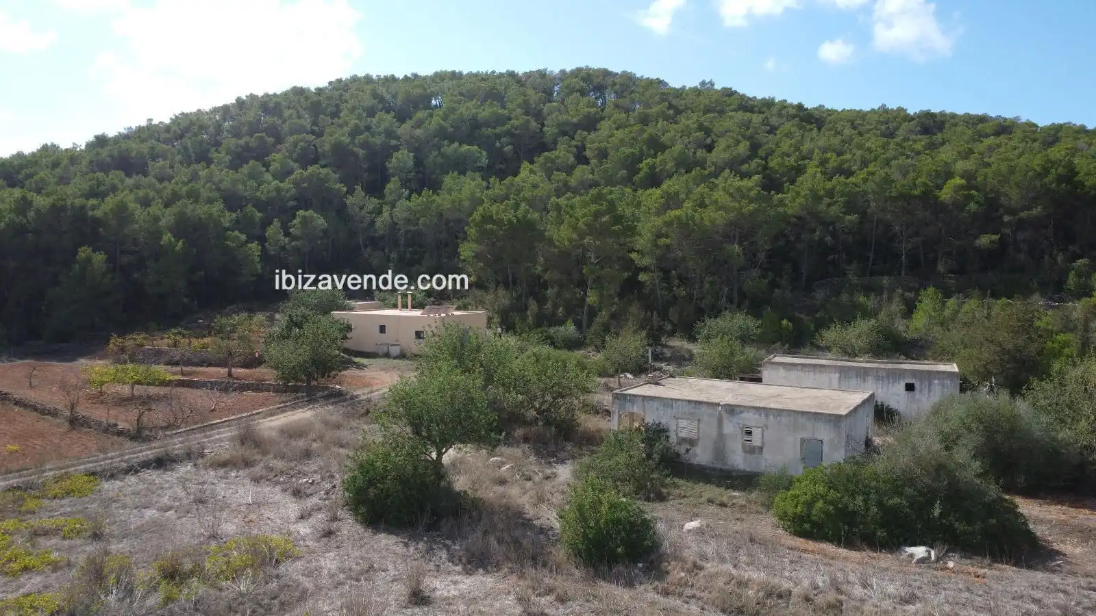 Detached house for sale in San Mateo, imagen 8