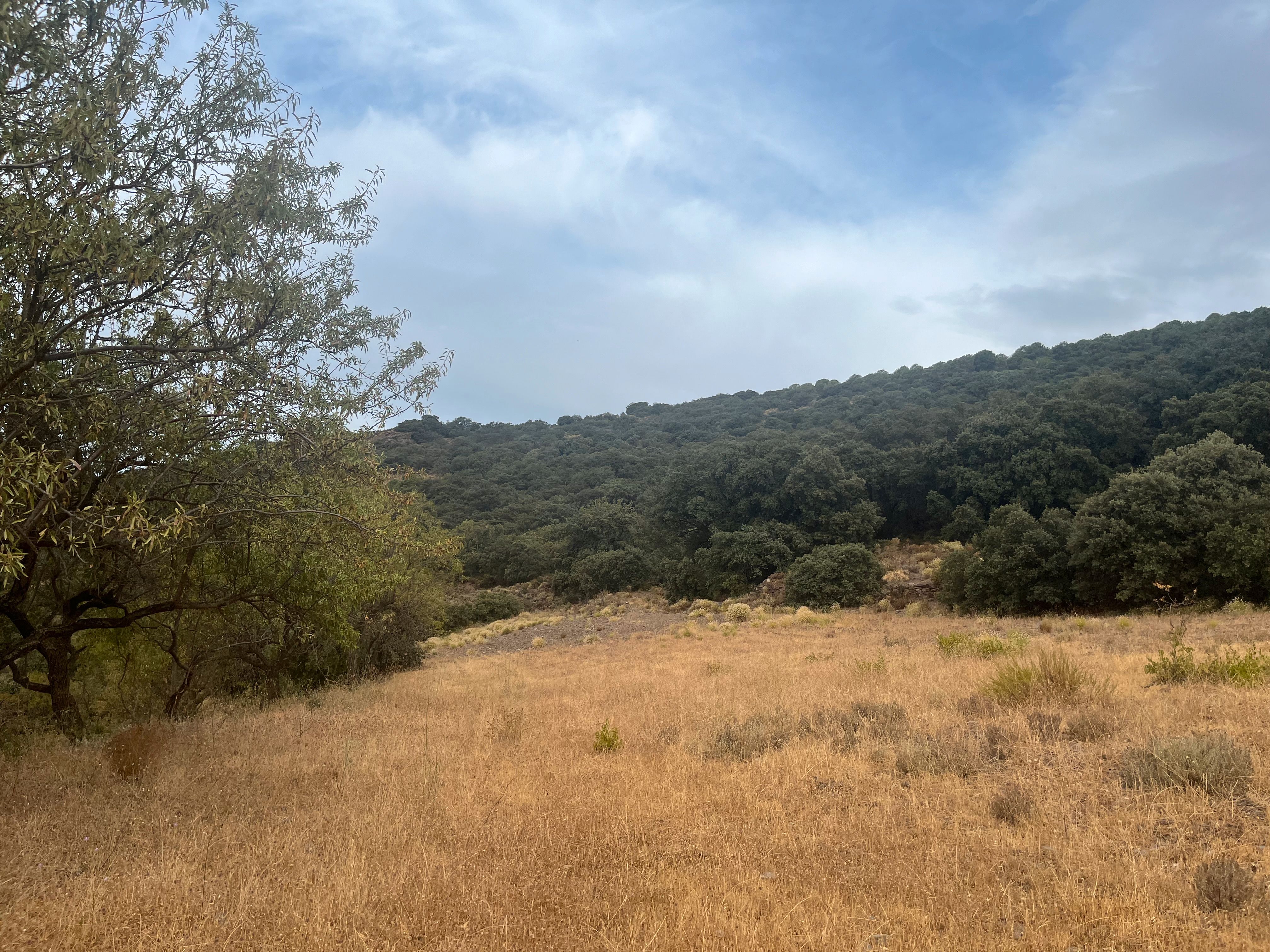 Land for sale in La Taha