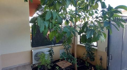 Foto 4 de Casa o xalet en venda a La Planilla, Málaga