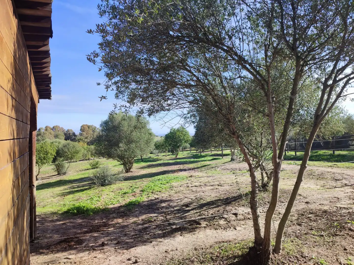 Haus oder Chalet zum Verkauf in Vejer de la Frontera mit Heizung, Privatgarten und Parkett