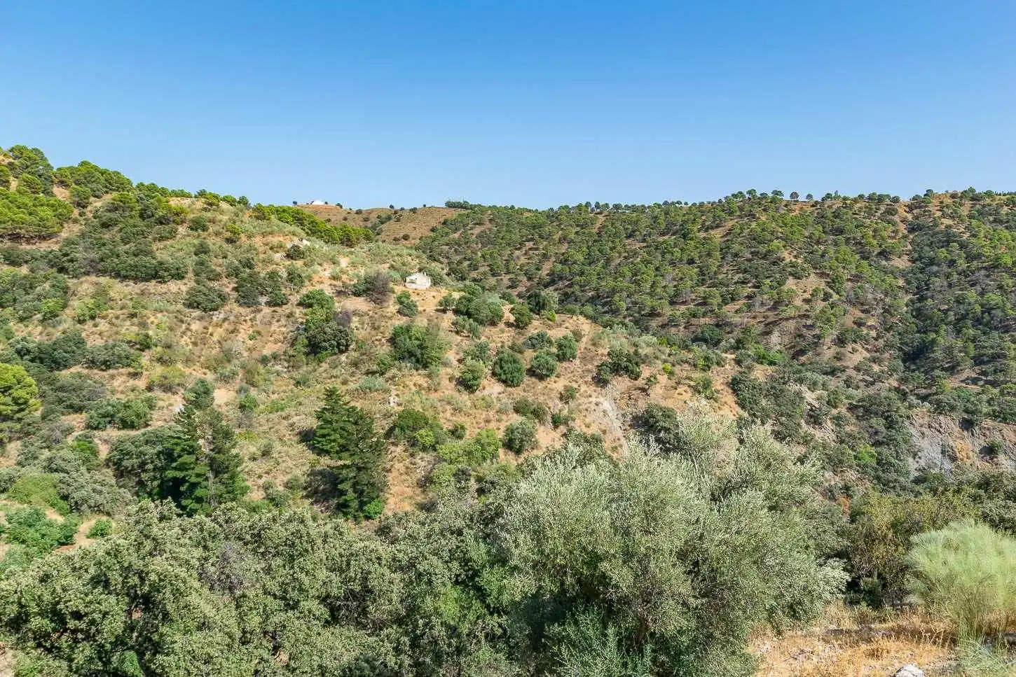 Terreno rustico in vendita a Salares, imagen 3