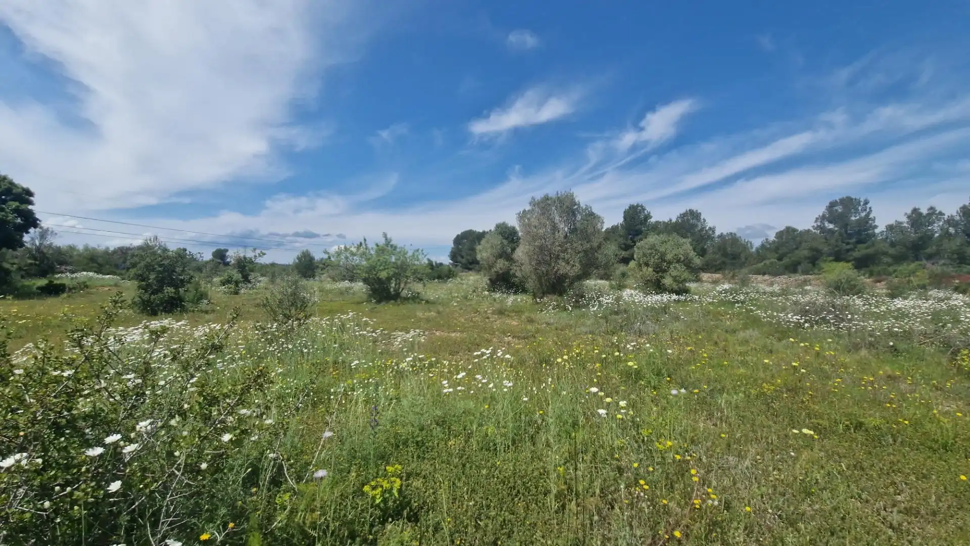 Terreno en venta en 43817, 17, El Pont d'Armentera