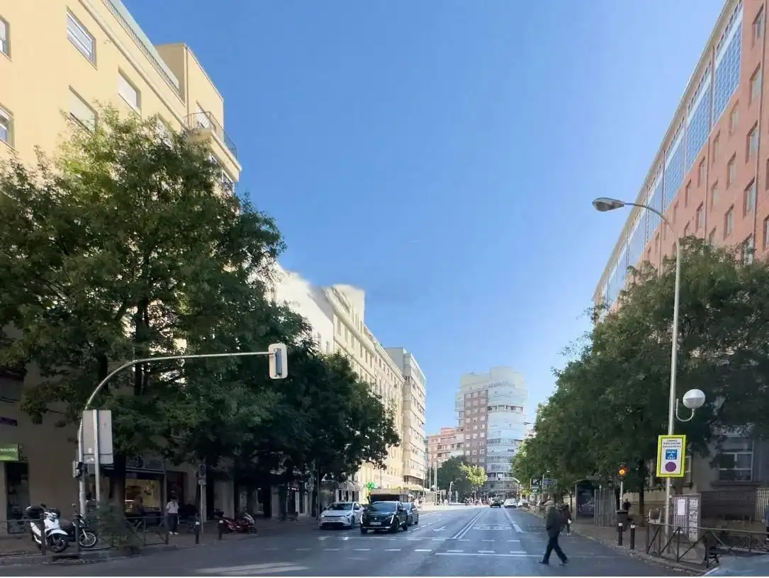 Appartamento con ascensore in vendita a Calle de Diego de León, imagen 24