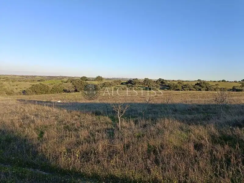 Terreno rústico en venta en Villamanta, imagen 7