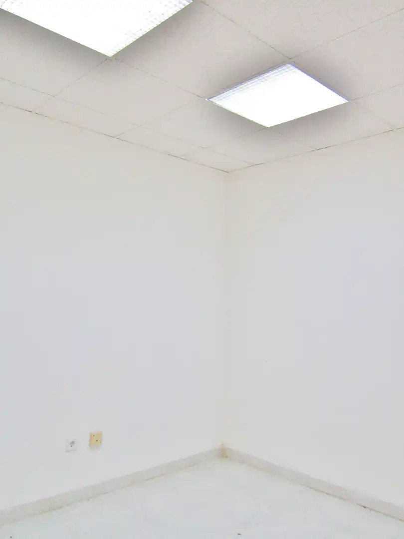 Local comercial en venta en Pla - Carolinas, imagen 8