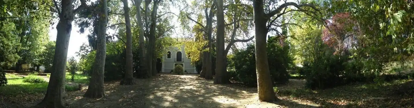 Vista exterior de Casa o chalet en venta en Monteagudo con Jardín privado y Piscina