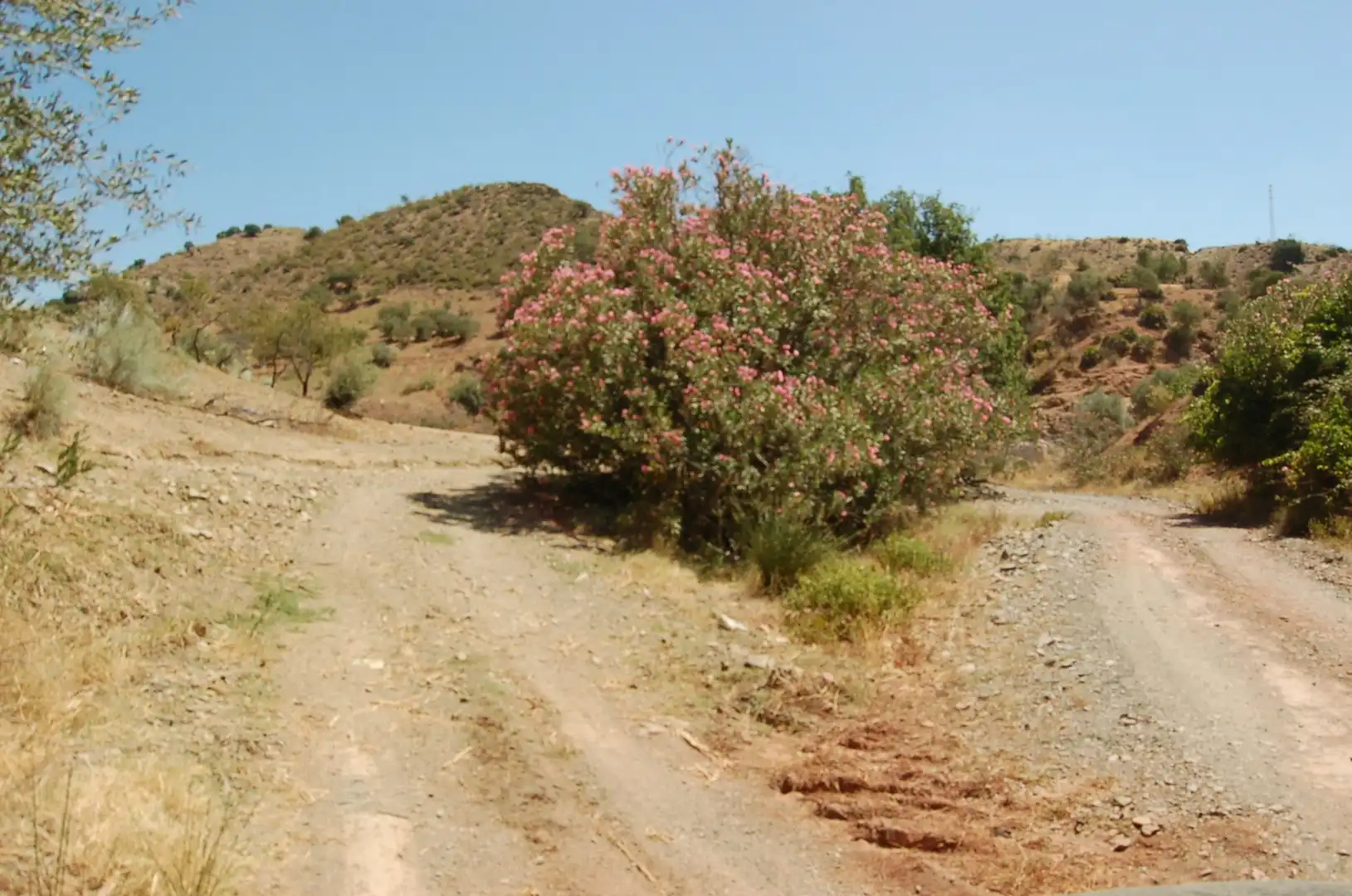 Vista exterior de Residencial en venta en Cártama