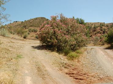 Terreny residencial en venda a Cártama pueblo
