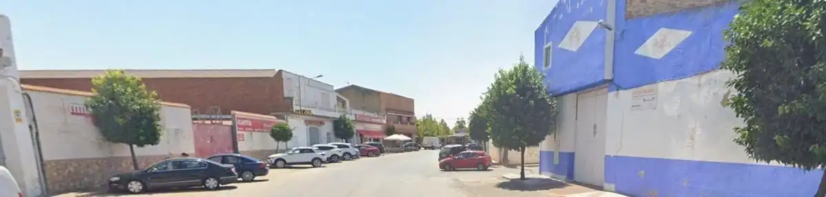 Terreny rústic en venda a Calamonte