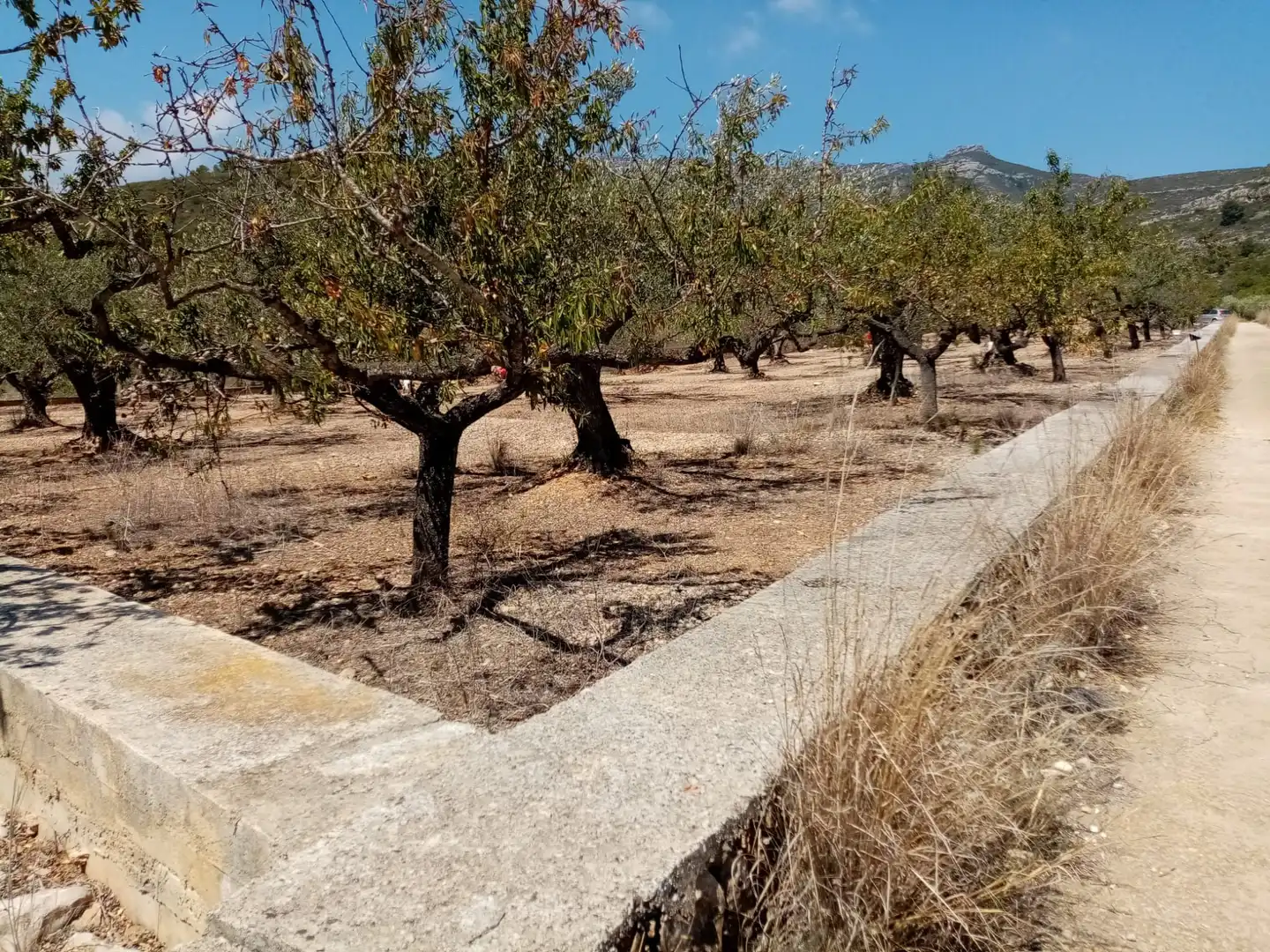 Rustikales Grundstück zum Verkauf in Vial Camino, imagen 5