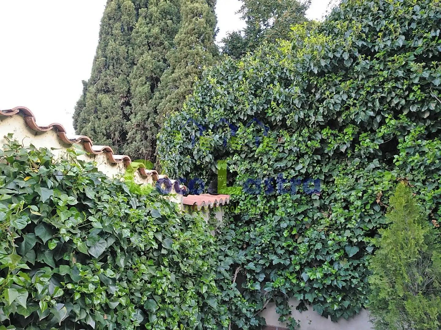 Jardí de Casa adosada en venda en Salamanca amb Calefacció, Terrassa i Traster