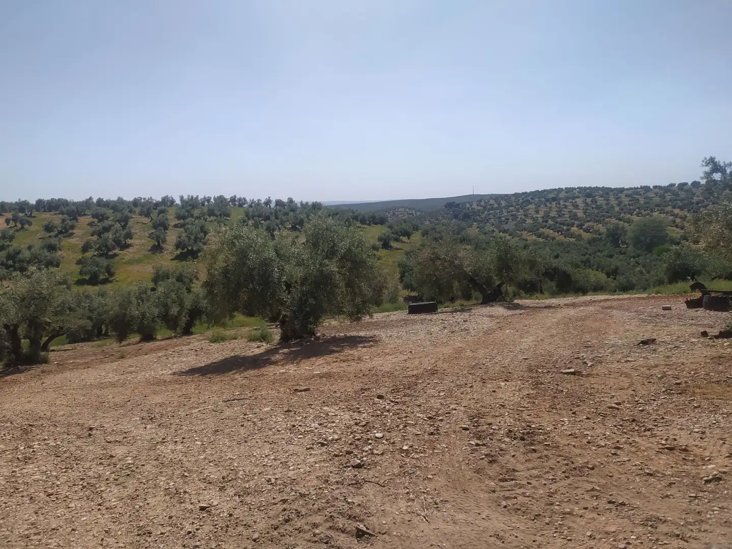 Terreni e lotti in vendita a Villanueva de la Reina, imagen 16