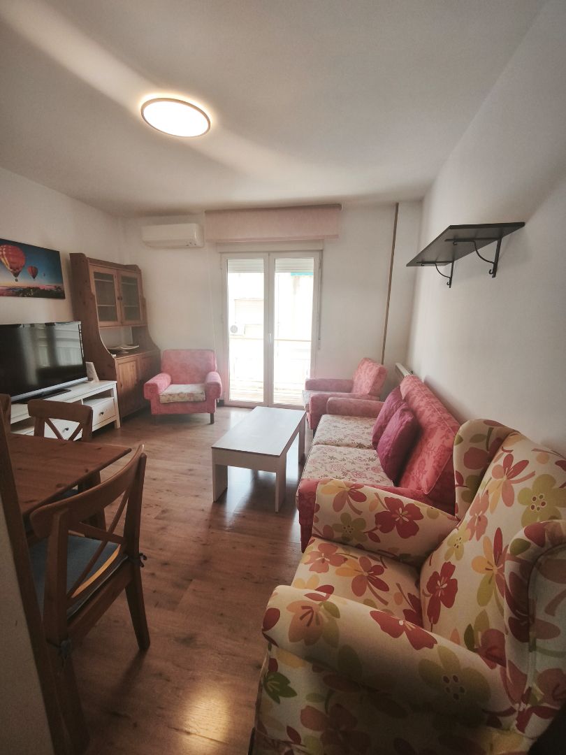 Living room of Flat for sale in  Granada Capital  with Air Conditioner, Heating and Parquet flooring