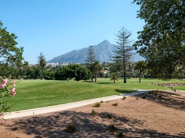 Xalet amb piscina en venda a Nueva Andalucía